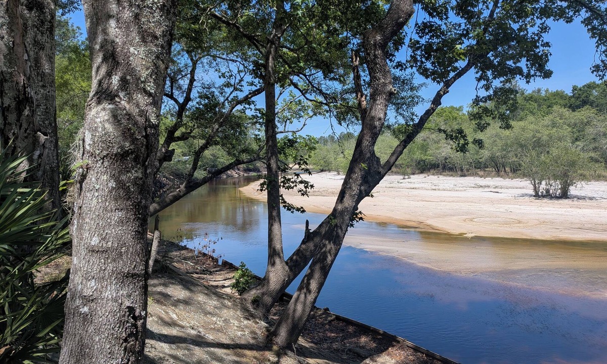 Atkinson Cabin | 2-bedroom river cabin directly on the satilla river in Brantley county