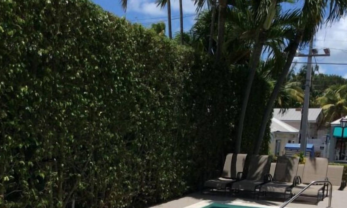 Uptown - Upper Duval House | 4 x Duval Gardens Two Queen - Adults Only at The Guesthouses at Southernmost
