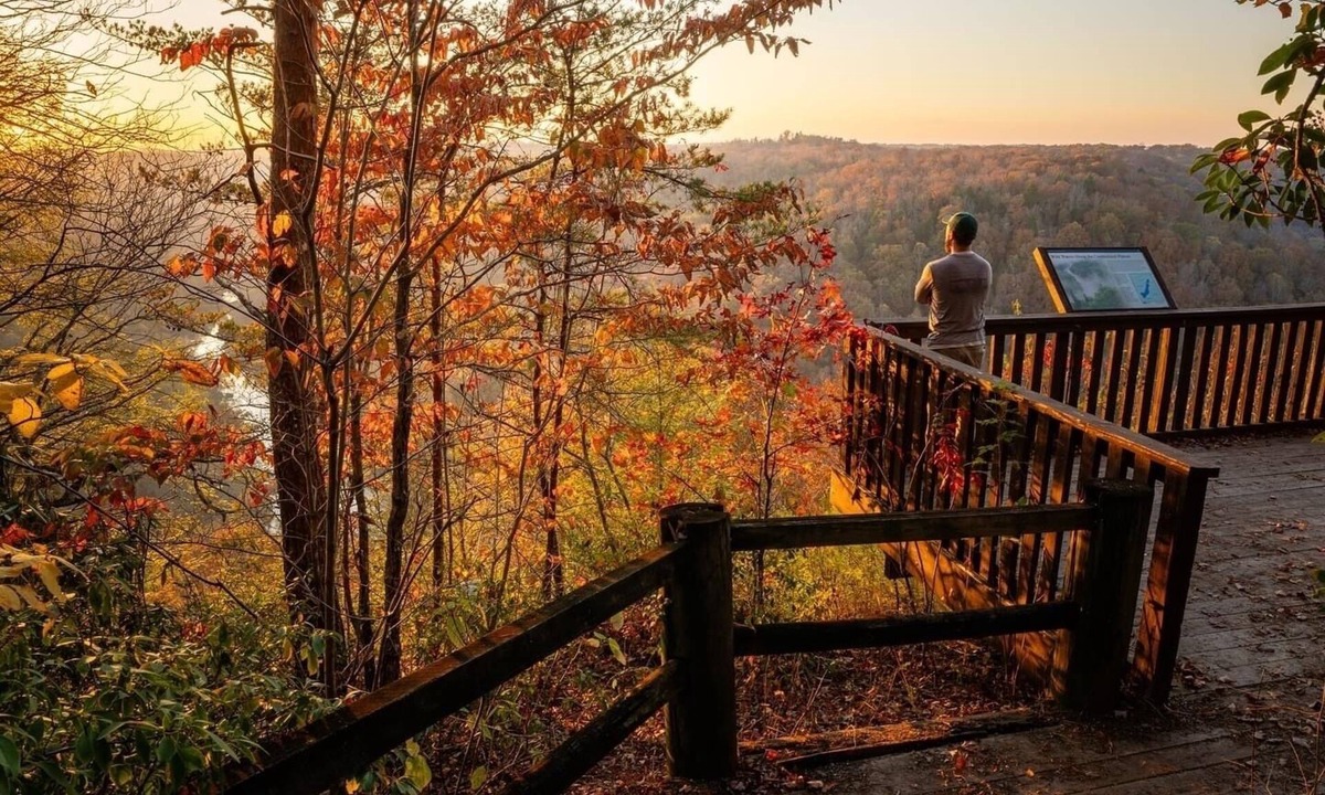 Strunk Cabin | 𝐁𝐢𝐠 𝐒𝐨𝐮𝐭𝐡 𝐅𝐨𝐫𝐤 Retreat! Excellent Location Private WIFI~ All NEW 𝐓𝐫𝐞𝐞 𝐓𝐨𝐩 𝐋𝐨𝐝𝐠𝐞!