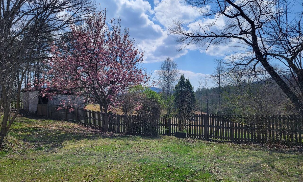Mineral Bluff Cottage | Charming Mountain Retreat with fire pit, fenced yard, scenic views, and privacy.