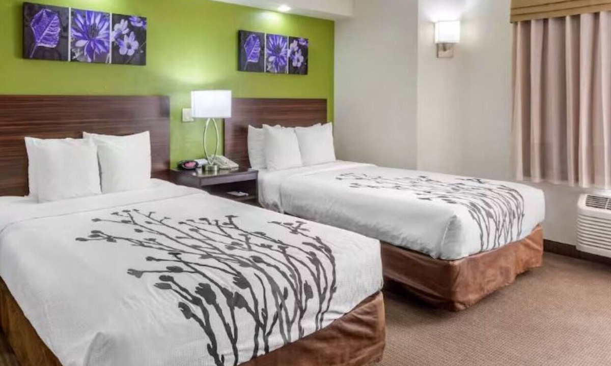 Temple Terrace Hotel | Conveniently Located Modern Rooms – Near Downtown Tampa Hot Spots | 2 Units
