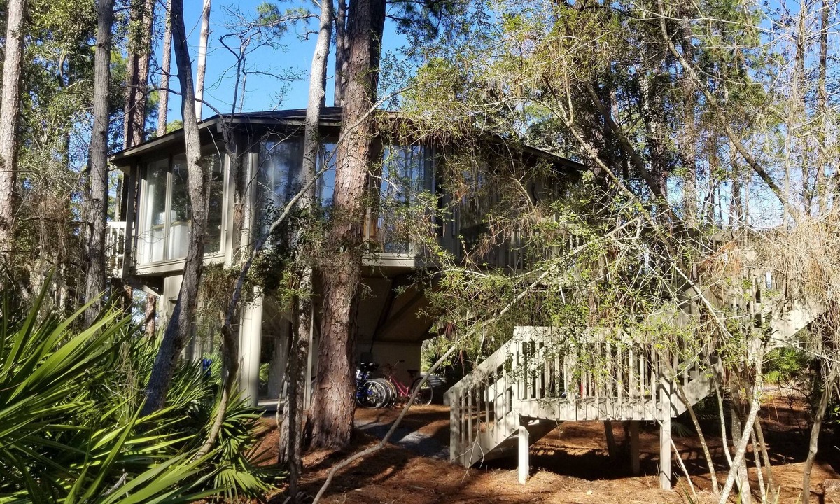 Sea Pines House | Cozy Treehouse Walkable to Harbour Town with Friendly Deer