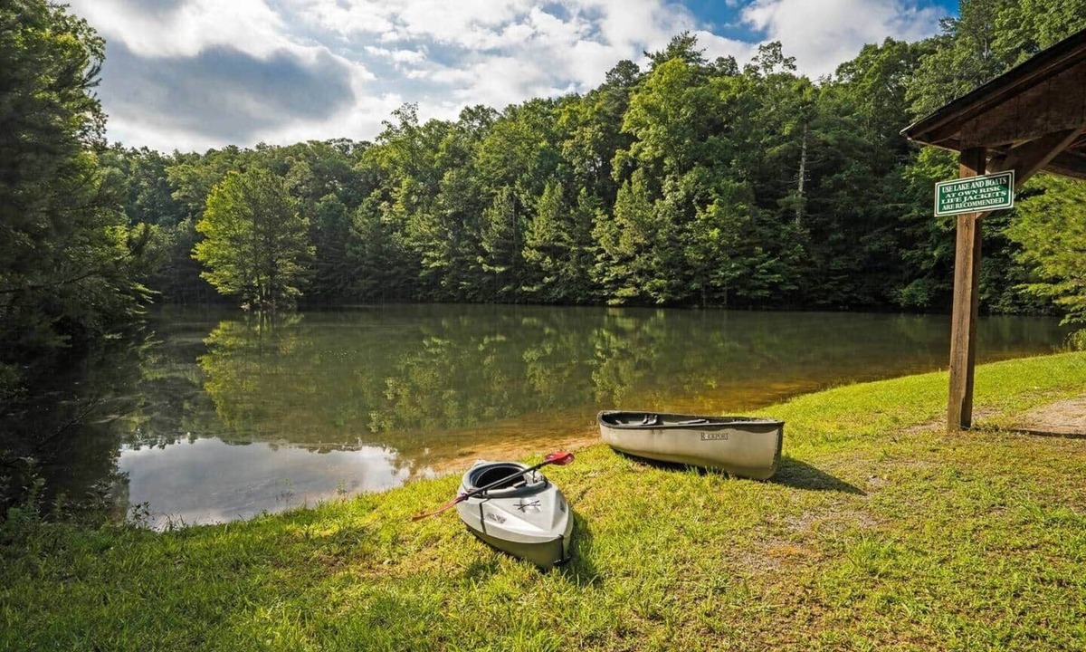 Ellijay House | Frog Pond Hollow Lodge Private private pool/lake