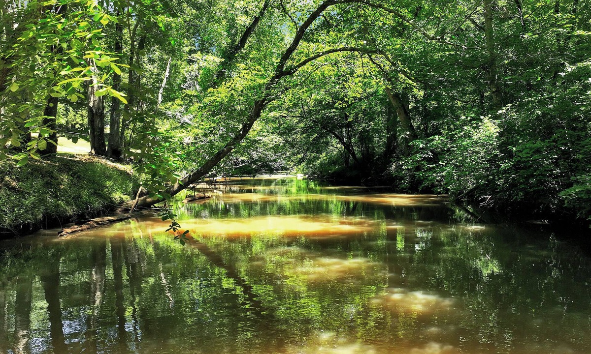 Bethlehem House | Georgia River & Stone Your Private MAJOR INTERNATIONAL SPORTING EVENT 2026 Basecamp retreat with Home Theater