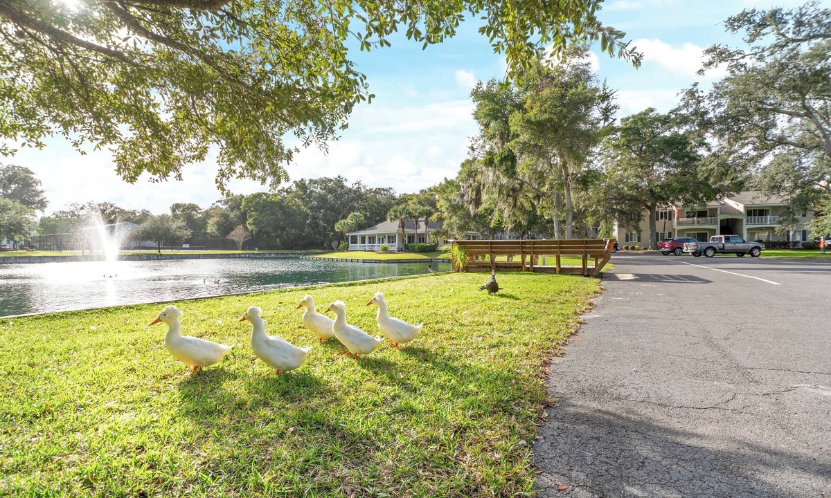 Demere Park Condo | Location: WALK to BEACH, Village & PIER! 2 POOLS