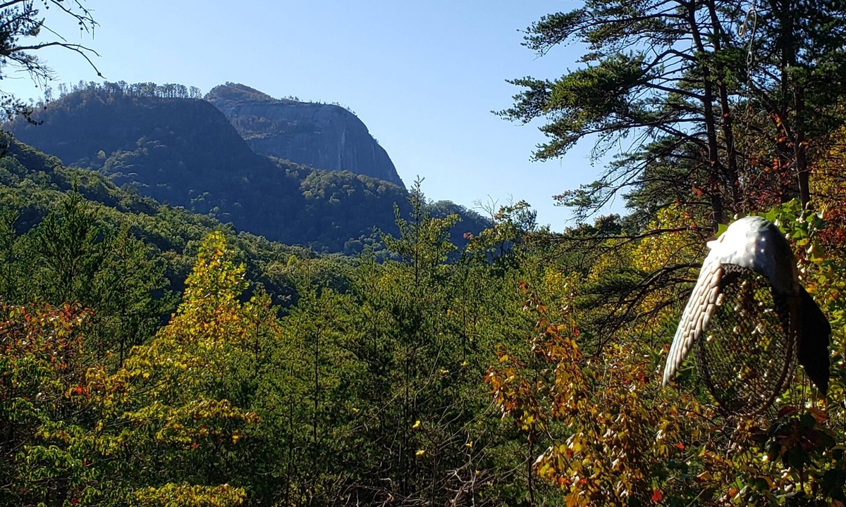 Cleveland Cabin | Mountains-Lakes-Parks-Winery-Privacy-Serenity Hidden Gem