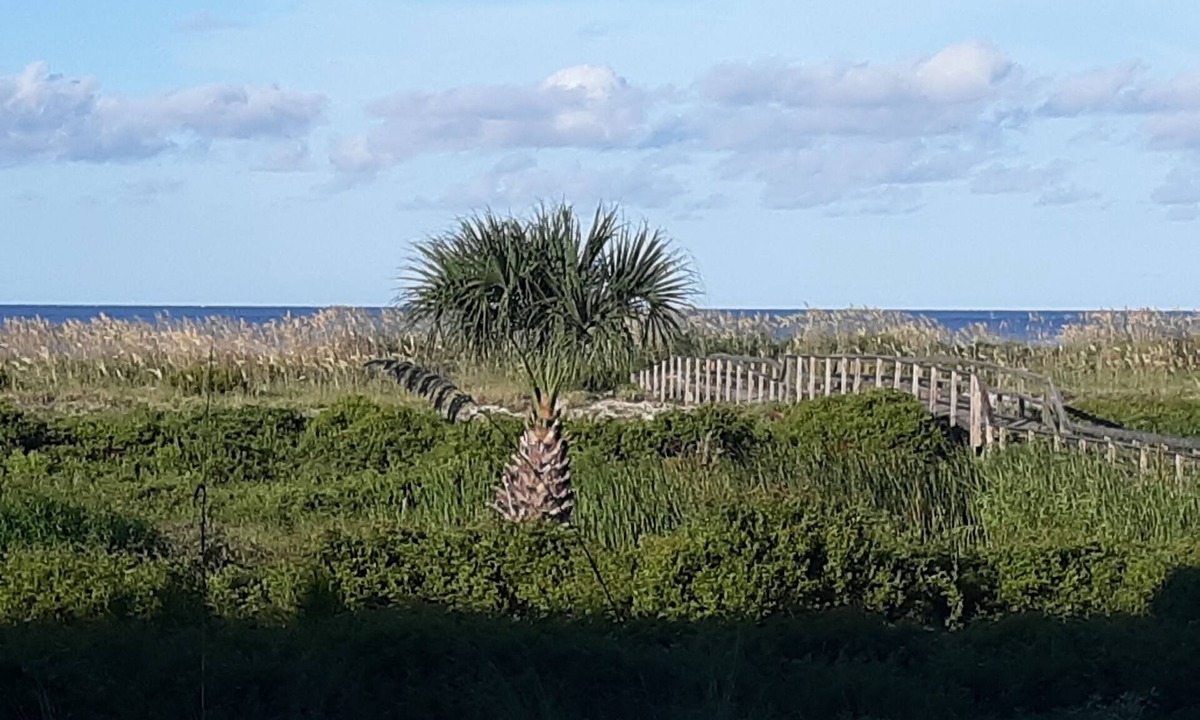 Beachwalk Condo | Ocean Front & pool view. Hunting Island pass included
