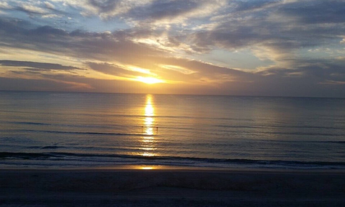 New Smyrna Beach Villa | SEACLUSION!Private Family/Pet Friendly SINGLE STORY Villa by the SEA! Pool/Beach
