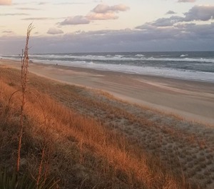 Summer Winds Beach 