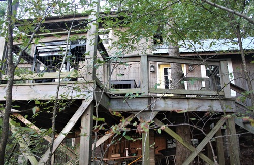 Pocahontas House | 11 Point River Front Cabin, 7 acres, hiking trails, with a private beach!