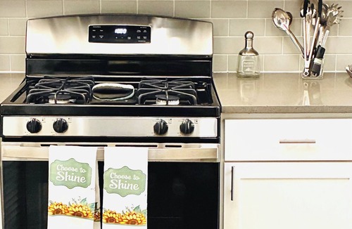 Sandy Springs Apartment | 2 bedroom apartment in Sandy Springs
