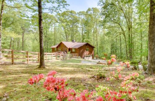 Toccoa Apartment | 2 Mi to Toccoa Falls: Cozy Getaway w/Yard!