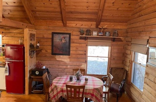 Clayton Cabin | 5 Acre Private Hollow 15 min from Downtown Highlands!