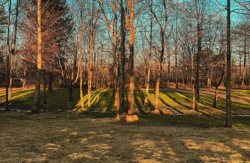 Altamont Cottage | A Charming Cottage Retreat Just Far Enough Away
