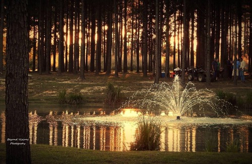 Talisheek Cabin | Amazing Campground w/80 acres to explore along the beautiful Bogue Chitto River!
