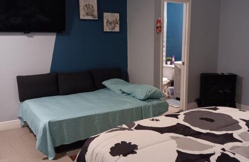 Boyette Springs Apartment | Apartamento Estudio privado completo Esperando por Ti