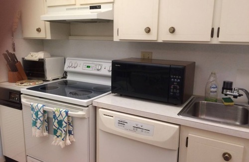 Islamorada Condo | Beautiful 1 bedroom apartment with a Phenomenal direct bay view 312