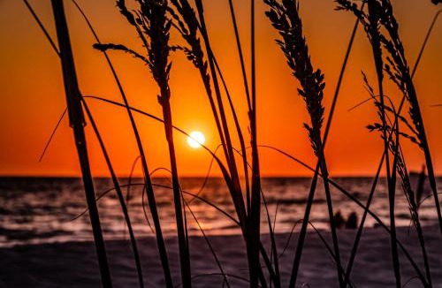 Indian Shores House | Beautiful Waterfront Beach Cottage. Sleeps 6