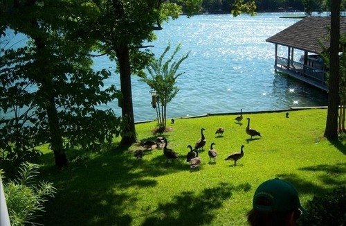 Little Kowaliga House | Beautiful Waterfront Lake Home near Real Island and 6 min from The Landing!