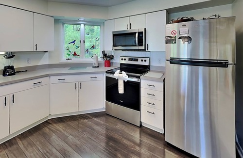 Chalet Village Cabin | Birdsong by Jackson Mountain Rentals