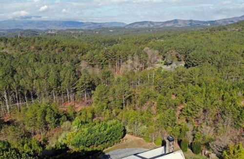 Ducktown House | Brew with a View-3br/3ba sleeps 8, hot tub, gamero