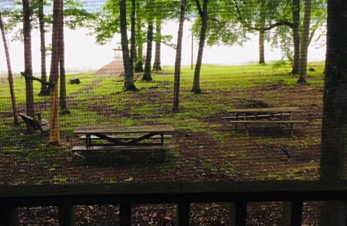 Waterloo House | Carls Cabin Pickwick Lake second creek .Waterloo AL pier sleeps 10 WIFI