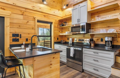 Tellico Plains Cabin | Charming 1-bedroom/sleeps 6 cabin with AC in peaceful Tellico Plains