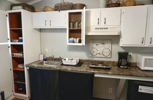 Ellijay Cabin | Charming 2-bedroom POND NOOK cabin at Mulberry Gap with AC, WiFi, & Kitchenette!