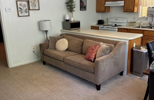 Mills River House | Charming Retreat 1-bedroom house in peaceful Mills River
