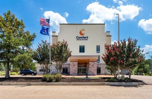 Grenada Hotel | Comfort Inn & Suites Grenada