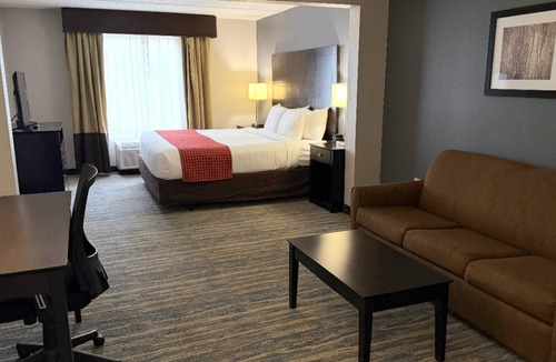 New Tampa Hotel | Comfort Inn & Suites Tampa North I-75