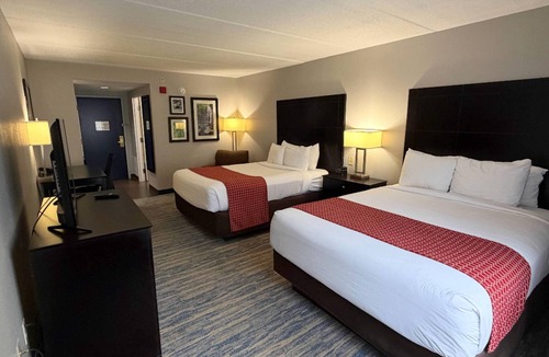 New Tampa Hotel | Comfort Inn & Suites Tampa North I-75