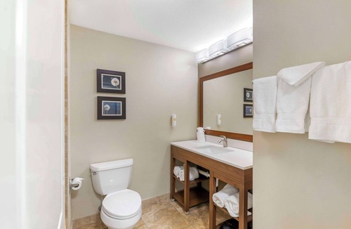 Tifton Hotel | Comfort Inn & Suites Tifton