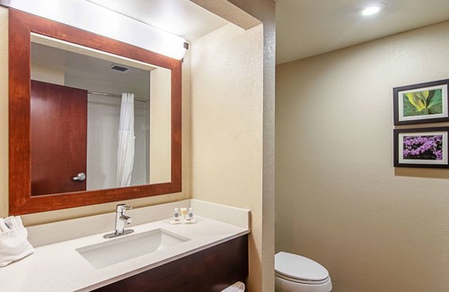 Alcoa Hotel | Comfort Suites Knoxville Airport
