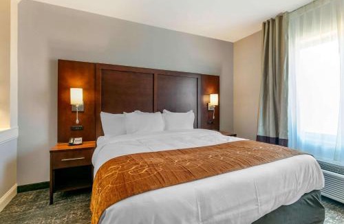 Tupelo Hotel | Comfort Suites North Tupelo