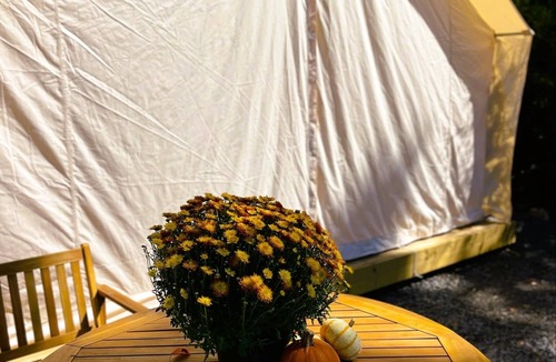 Marshall RV Rental | Couples Glamping Tent Near the Buffalo River