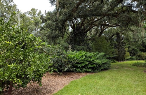 Tallahassee Cottage | Cozy 2br Cottage next door to Maclay State Park!