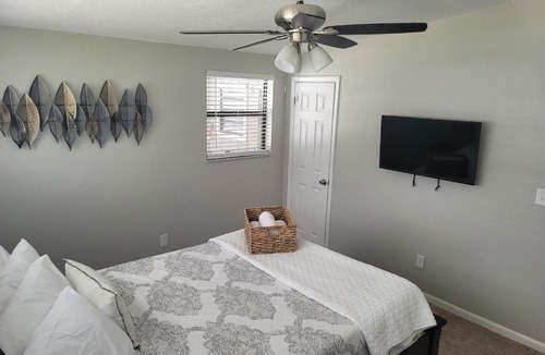 Temple Terrace House | Cozy 3 bed 2 bath pool home near Busch Gardens