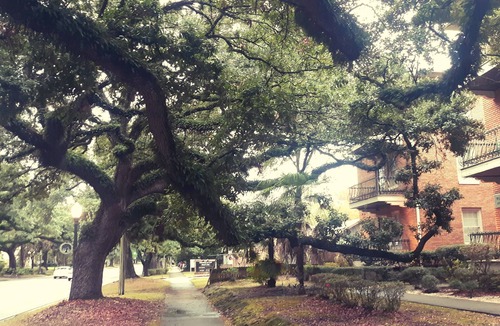 Hannon Park Condo | Cozy Vintage Studio Close To Downtown