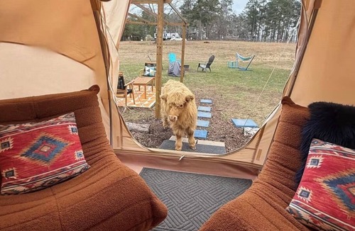 Thomson RV Rental | Cuddly cow yurt with fluffy cows, llamas, and sheep