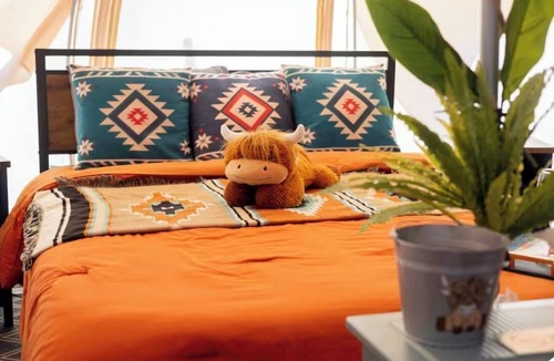 Thomson RV Rental | Cuddly cow yurt with fluffy cows, llamas, and sheep