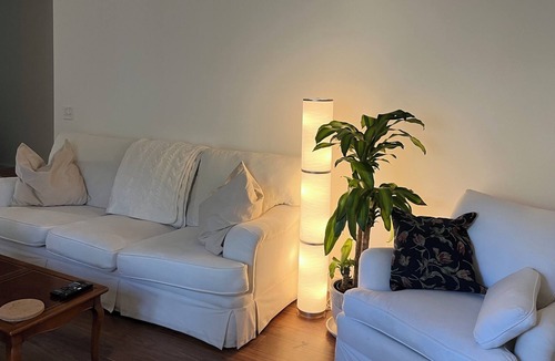 Darien Cottage | Darien, Fort King George area, perfect for 'snowbirds.' 2 bed 2 bath