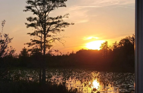 Folkston Cabin | Deluxe Cabin - The Gator Hole - Our Deluxe Cabins offer comfort with a true Okefenokee feel. Climate controlled, private, and set in a quiet part of the campground.