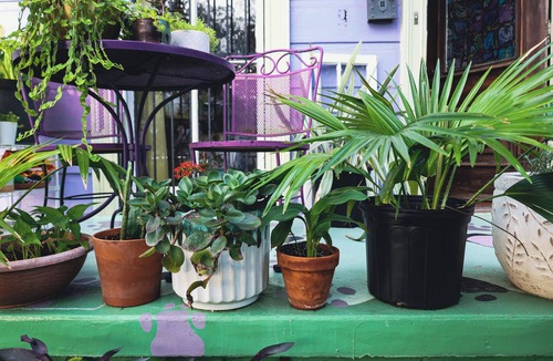 Touro House | Dog Friendly, Block from Magazine St, Grand Piano, Central AC, Alkaline Filter