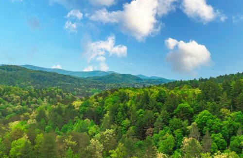 Foxfire Estates House | Dream Catcher