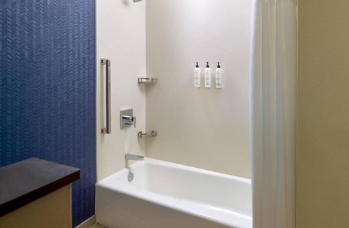 Eden Hotel | Fairfield By Marriott Inn & Suites Savannah Pooler