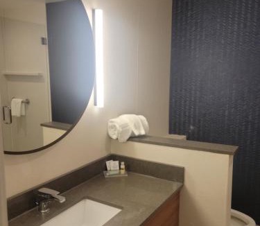 Athens Hotel | Fairfield Inn & Suites by Marriott Athens