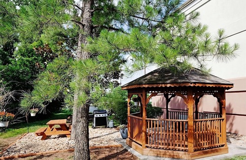 Ashley Oaks Hotel | Frank H McClung Museum Tour! 4 Pet-friendly Suites w/Kitchen & FREE Parking!