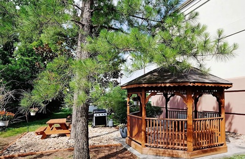 Ashley Oaks Hotel | Frank H McClung Museum Tour! 3 Pet-friendly Suites w/Kitchen & FREE Parking!