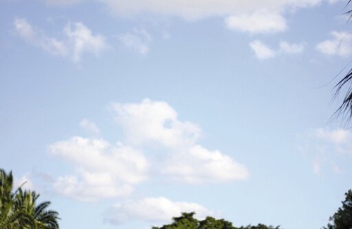 Survey Creek Resort | Gateway to the Florida Everglades !